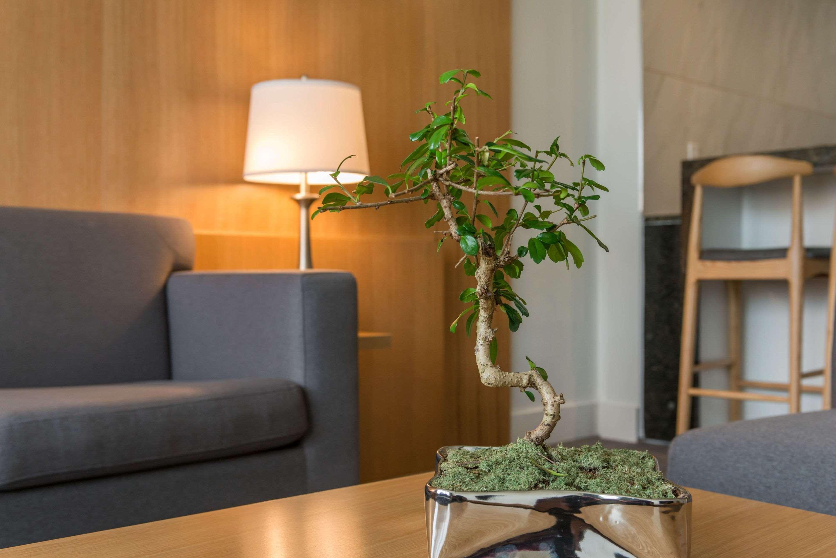 The West Wing Boutique Hotel Tampa Bagian luar foto